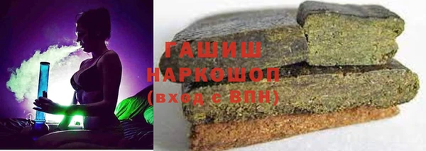 шишки Надым