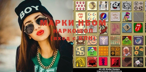 индика Волосово