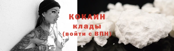 индика Волосово
