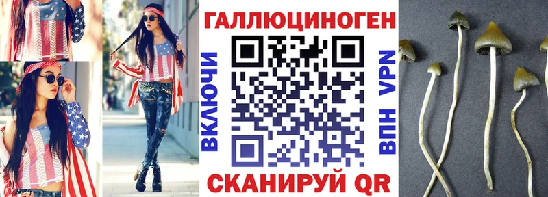 Псилоцибиновые грибы GOLDEN TEACHER  гидра ССЫЛКА  Володарск 